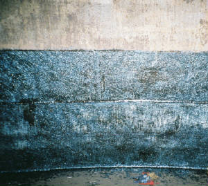 cnv000020.jpg